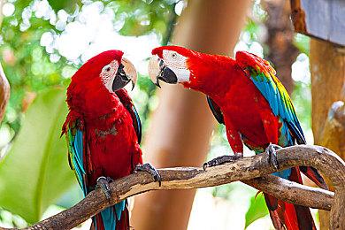 双摇杆塔防动作游戏《末日度假村》在Steam正式发售 